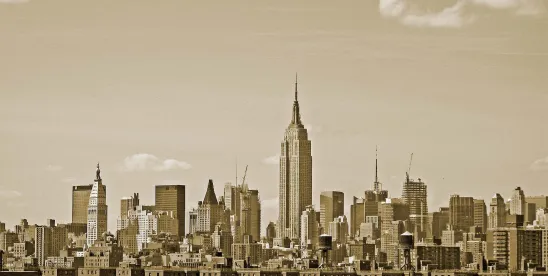 NYC Adopts Stopping Harassment and Intimidation and Ensuring Lawf