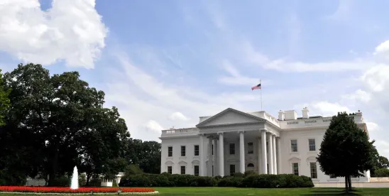 White House Releases “Policy Framework for Artificial Intelligenc