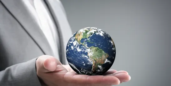 What the Companies in the ASX Should Expect from Sustainability R
