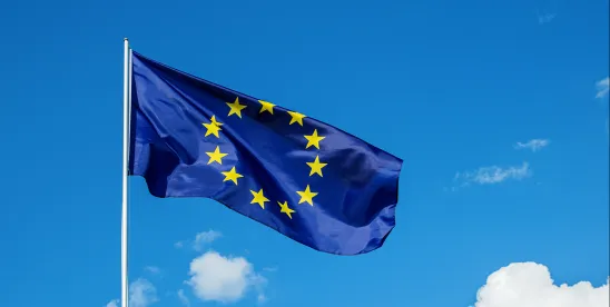European Countries and the Role DSARS Have Come to Play