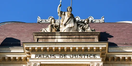 Swiss Cantonal Court Upholds Dismissal for Multi-Million Franc Se
