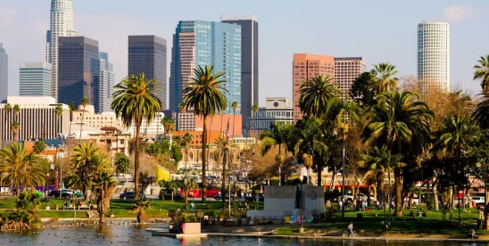 LA Court Strikes Down $83 Million Punitive Damages Award Against